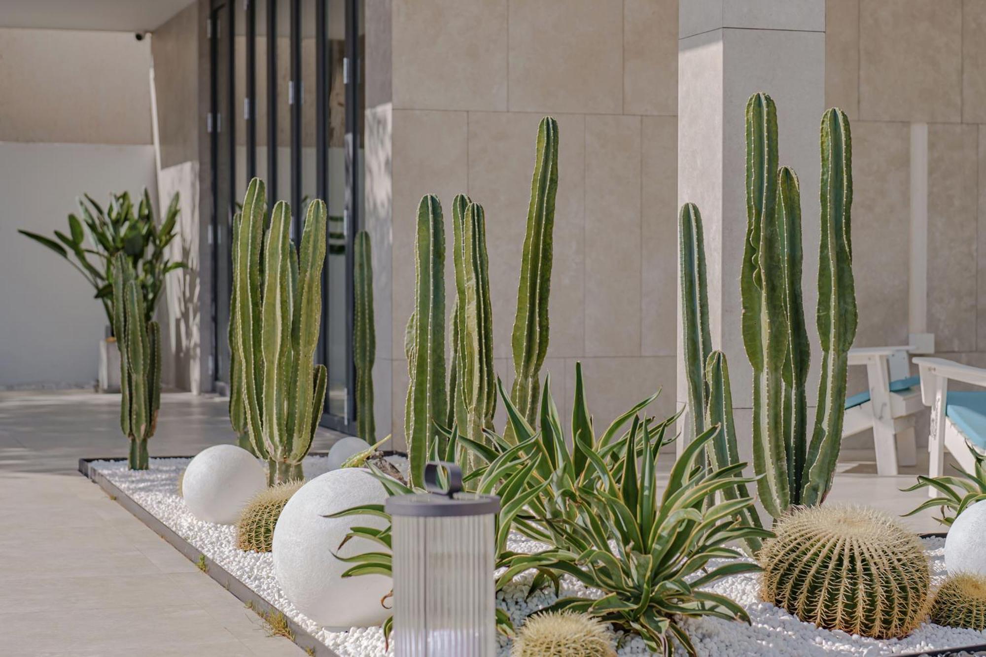 Dali Oriental Seaview Hotel -Dali Erhai Zewnętrze zdjęcie